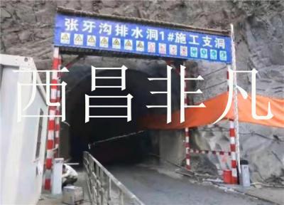 涼山彝族自治州中水四局甘孜州孟底溝水電站閘機勞務門禁系統
